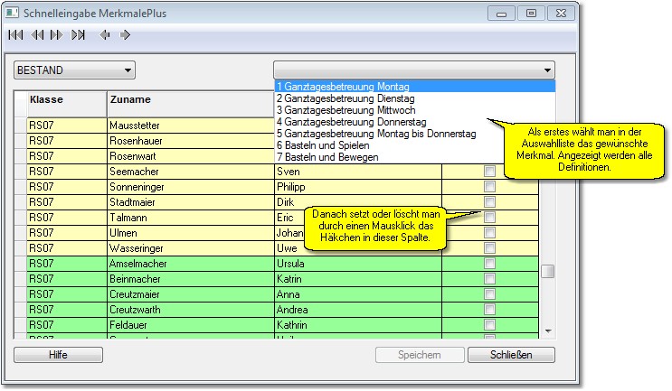 Schnelleingabe_MerkmalePlus