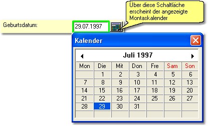 SKartei_Datumseingabe